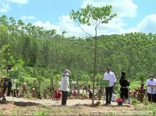 Ditemani 'Satria Nusantara', Jokowi Tanam Pohon di IKN