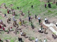 Duh! Gubernur Sulteng Tiba-tiba Pingsan Usai Ritual di IKN