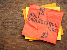 Awas Petaka, Kolesterol Tinggi Bisa Bawa Sederet Penyakit Ini