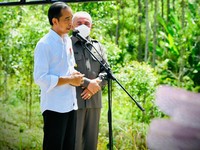 Bersiap! Jokowi Mulai Petakan PNS yang Bakal Pindah ke IKN