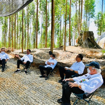 Malam Ini Jokowi di Tengah Hutan Camping di Ibu Kota Baru!