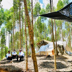 Begini Camping Ala Glamping Jokowi di Ibu Kota Baru