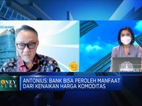Kredit Sektor Pertanian, Fokus Pembiayaan Bank Sumsel Babel