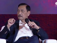 Duit RI Tangkal Perubahan Iklim Rp 102 T, Luhut: Belum Cukup!