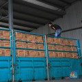 Fenomena Mendadak Muncul Merek Baru Migor di Pasar, Ada Apa?