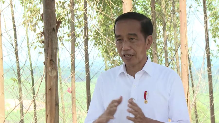 Presiden Jokowi di IKN