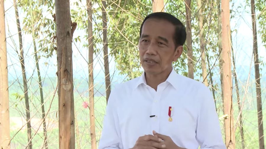 Presiden Jokowi di IKN