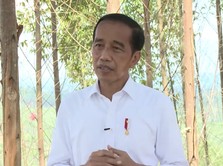 Mantap Pak Jokowi! Ekonomi RI Tahan Banting, Ada 'Reward' S&P