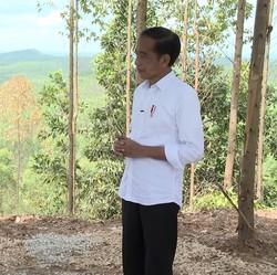 Terkuak! Jokowi Ungkap Lokasi Istana Negara di IKN, Ini Dia