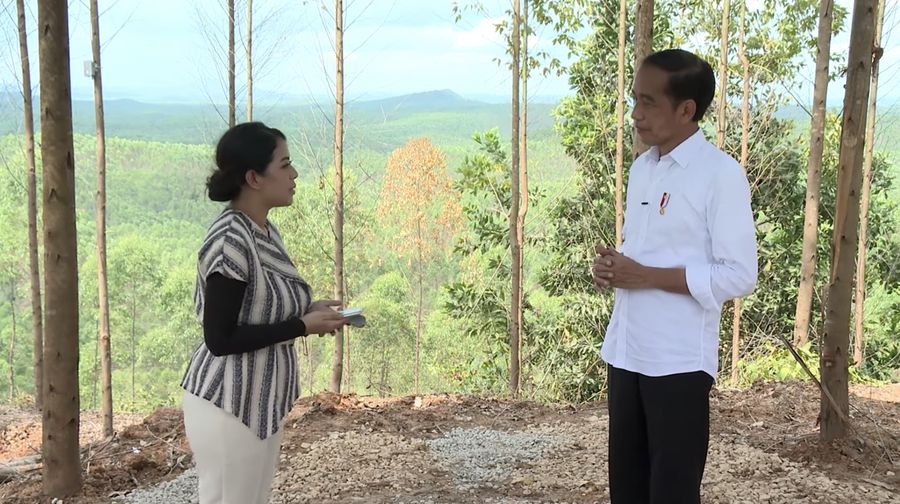 Presiden Jokowi di IKN