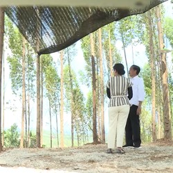 Jokowi Beberkan Lagi Alasan Pindahkan Ibu Kota, Singgung SBY