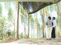 Jokowi Beberkan Lagi Alasan Pindahkan Ibu Kota, Singgung SBY