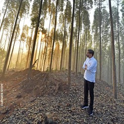 Aturan Terbit! Nih Bocoran Rencana Besar Jokowi Bangun IKN