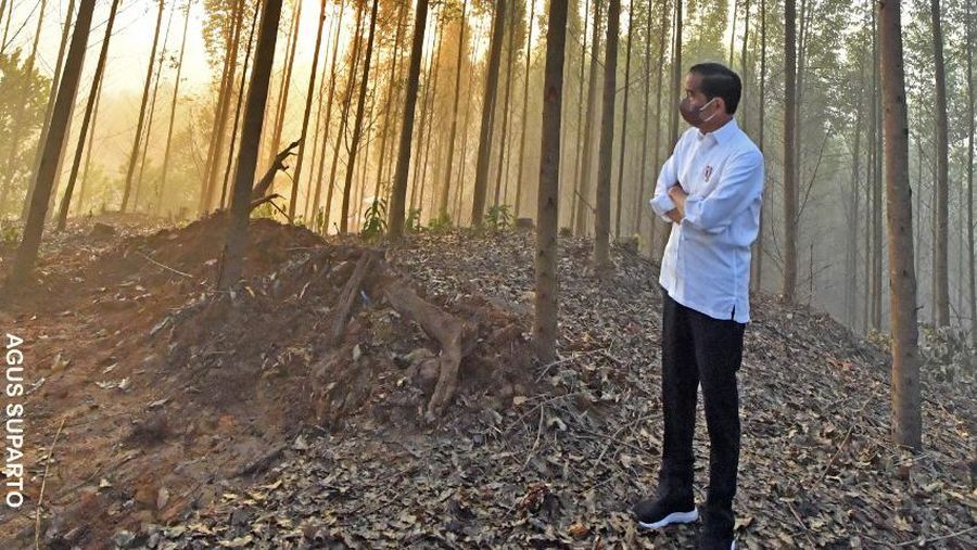 Presiden Jokowi di IKN (Dok: Biro Pers Sekretariat Presiden)