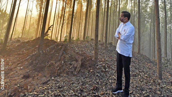 Presiden Jokowi di IKN (Dok: Biro Pers Sekretariat Presiden) Presiden Jokowi di IKN (Dok: Biro Pers Sekretariat Presiden)