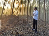 Aturan Terbit! Nih Bocoran Rencana Besar Jokowi Bangun IKN