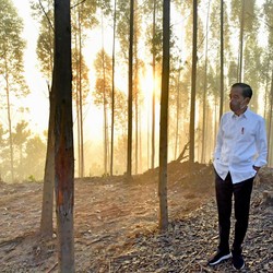 Diam-Diam Jokowi Sikat Habis Spekulan 'Goreng' Tanah di IKN