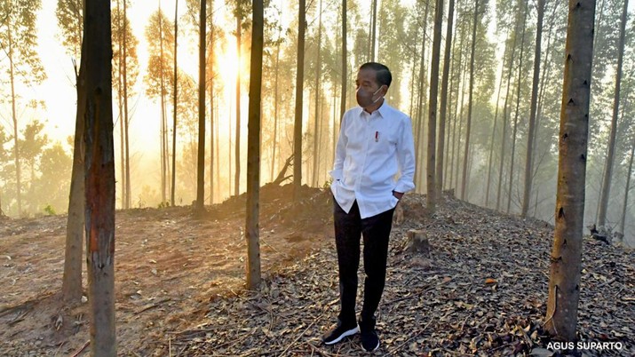 Presiden Jokowi di IKN (Dok: Biro Pers Sekretariat Presiden)