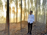 Cuan Cuan Cuan! Potensi Katering di IKN Bisa Rp10 Miliar/Hari