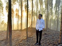 Jokowi Teken Aturan Pendanaan IKN, dari APBN hingga Obligasi