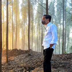 Pak Jokowi, Upacara HUT RI 2024 Bisa Dilakukan di Nusantara?