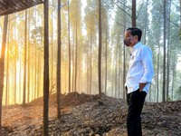Singgung SBY, Jokowi Ungkap Alasan Ngotot Pindahkan IKN