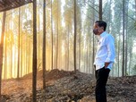 Jokowi Bertolak ke Kaltim Hari Ini, Tinjau Pembangunan IKN