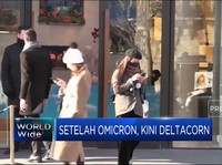Setelah Omicron, Kini Muncul Deltacorn