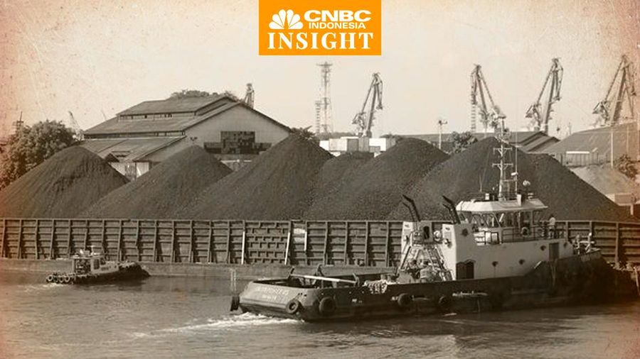 cover insight, Batu Bara