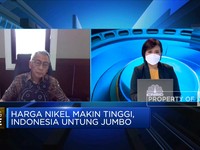 Harga Nikel Melonjak, Minat Investasi Hilirisasi Meningkat?
