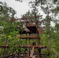 Restorasi Hutan Mangrove, PT SMI Dukung Percepatan Target NZE