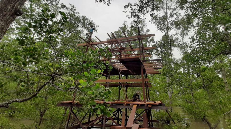 PT SMI memperhatikan peran penting Mangrove dalam menghadapi dampak perubahan iklim.
