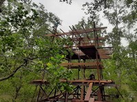 Restorasi Hutan Mangrove, PT SMI Dukung Percepatan Target NZE