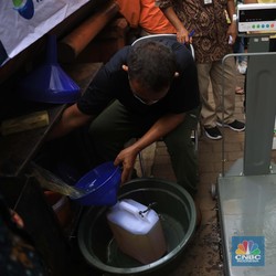 Catat! Seluruh Industri Migor Wajib Sediakan Curah