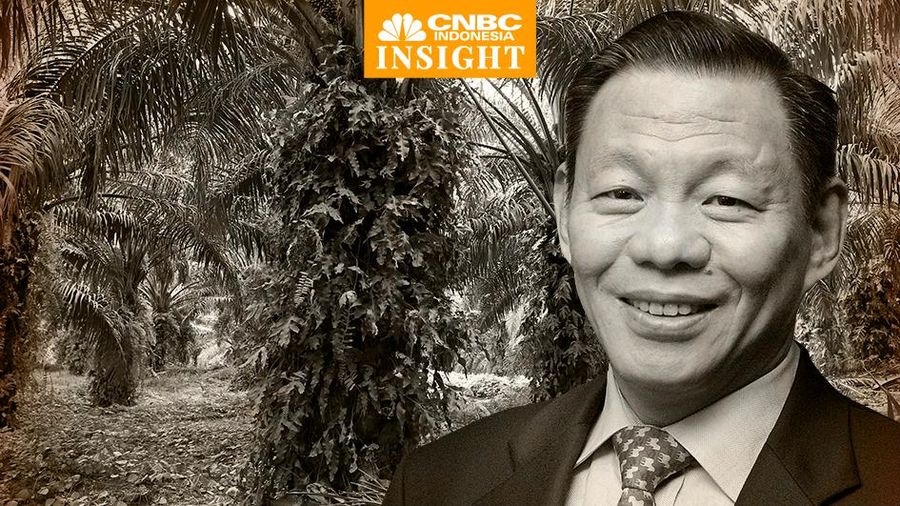 Cover Insight, Raja Sawit: Sukanto Tanoto termasuk Yang Duluan Main Sawit