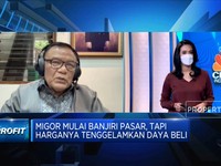 Dewan Minyak Sawit: Kami Keberatan DMO CPO Naik Jadi 30%