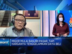 Dewan Minyak Sawit: Kami Keberatan DMO CPO Naik Jadi 30%