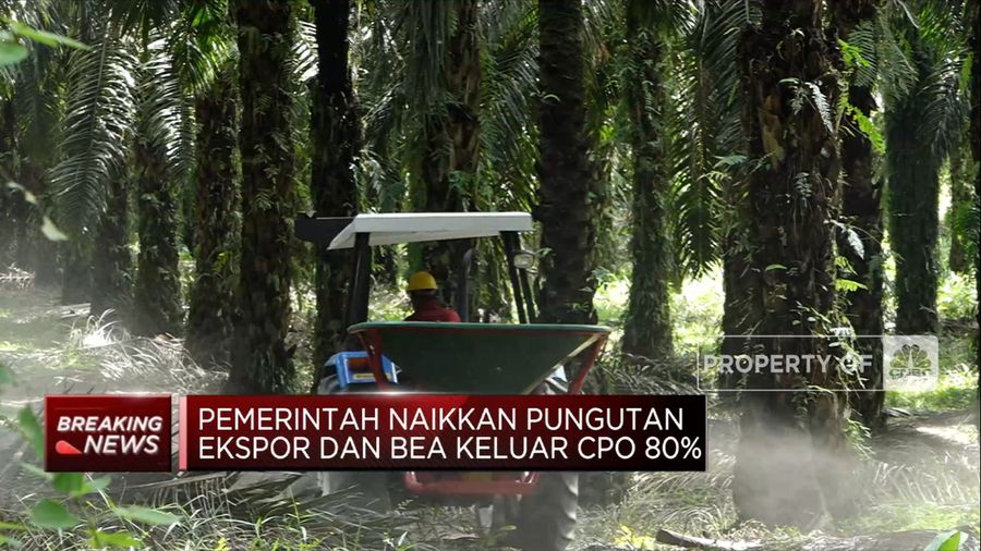 Pemerintah cabut Kebijakan DMO & DPO Minyak Sawit (CNBC Indonesia TV)