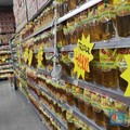 Aneh Tapi Nyata, Minyak Goreng 'Bejibun' Usai Harganya Mahal