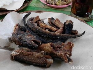 Apakah Belut Halal Dimakan?