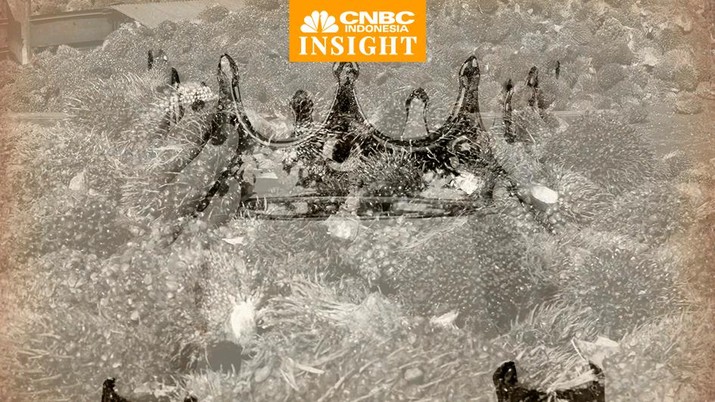 Cover Insight, Raja-raja Sawit
