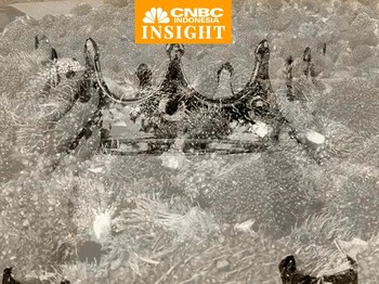 Raja Sawit RI: Ciliandra Fangiono Sang Penerus Kerajaan Sawit