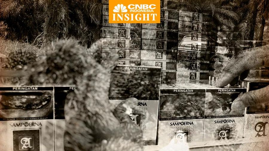 Cover Insight, Raja Sawit RI: Ingin Jauhkan Citra Rokok Sampoerna Main Sawit