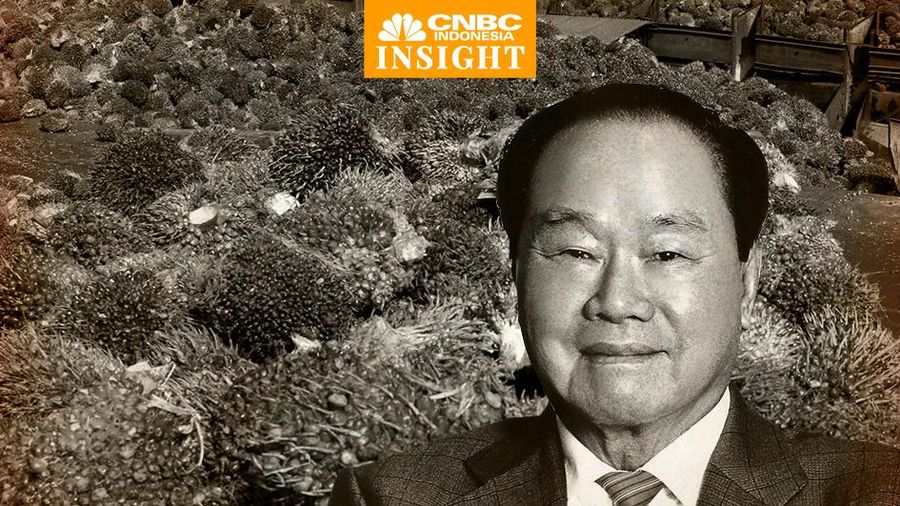 Cover Insight, Raja Sawit: Keluarga Widjaja Sejak Awal Main Minyak Goreng