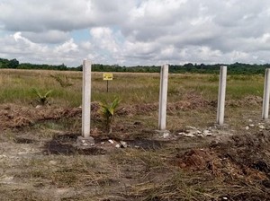5 Hal yang Wajib Diketahui Sebelum Membeli Tanah Kavling