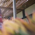 Jadi Venue Partner, Internet Indihome Ngebut di Mandalika