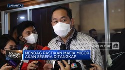 Tak Bisa Kontrol Mafia Minyak Goreng, Mendag Minta Maaf