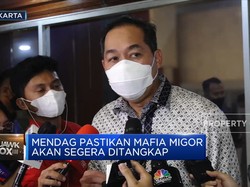 Tak Bisa Kontrol Mafia Minyak Goreng, Mendag Minta Maaf