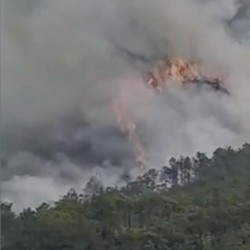 Buat Kebakaran Hutan, Potret Boeing 737 China Eastern Jatuh