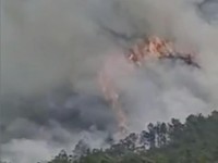 Buat Kebakaran Hutan, Potret Boeing 737 China Eastern Jatuh